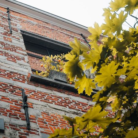 Duplex In Historical Centre With Private Courtyard Apartment แอนต์เวิร์ป ภายนอก รูปภาพ