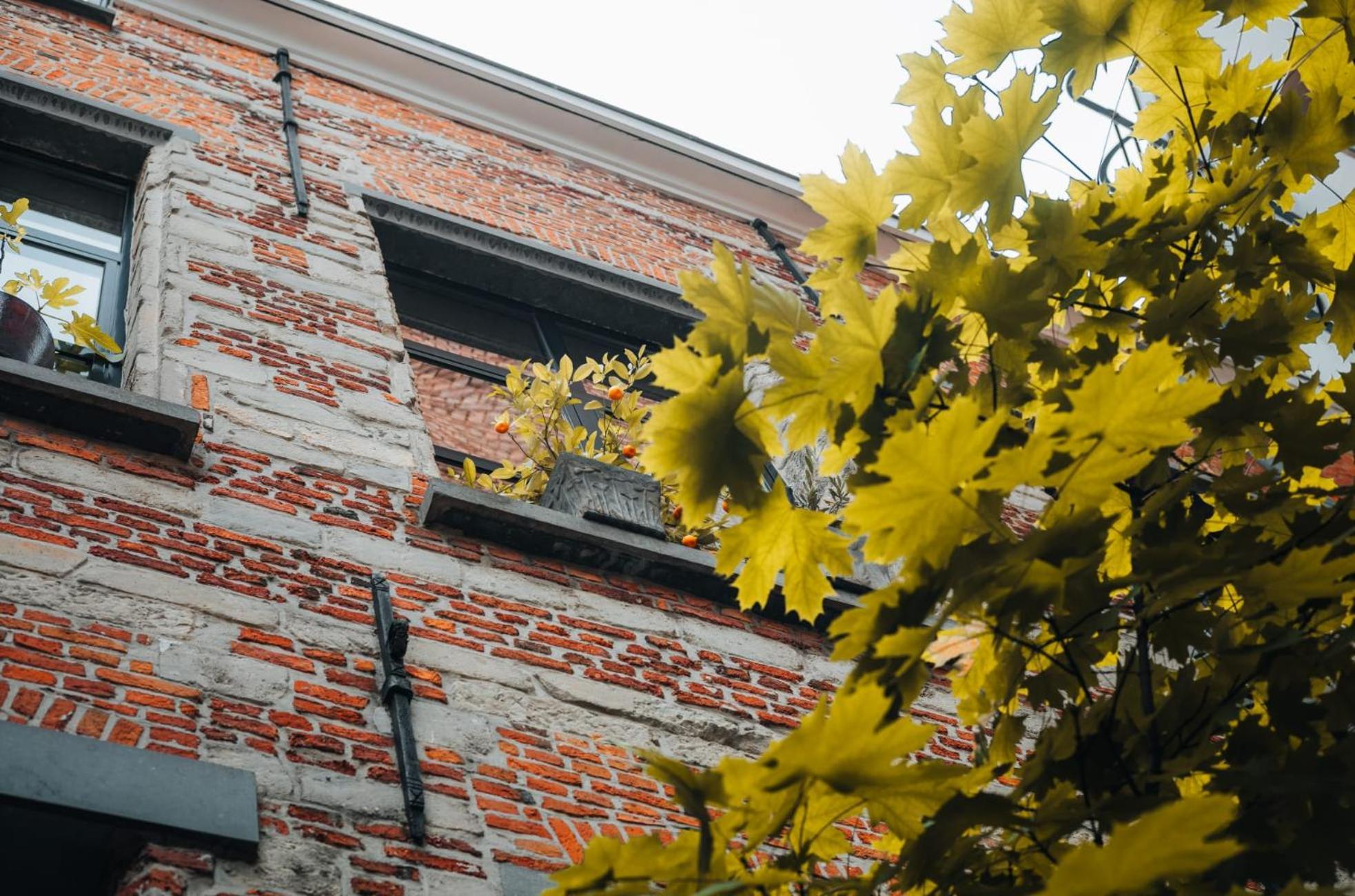 Duplex In Historical Centre With Private Courtyard Apartment แอนต์เวิร์ป ภายนอก รูปภาพ